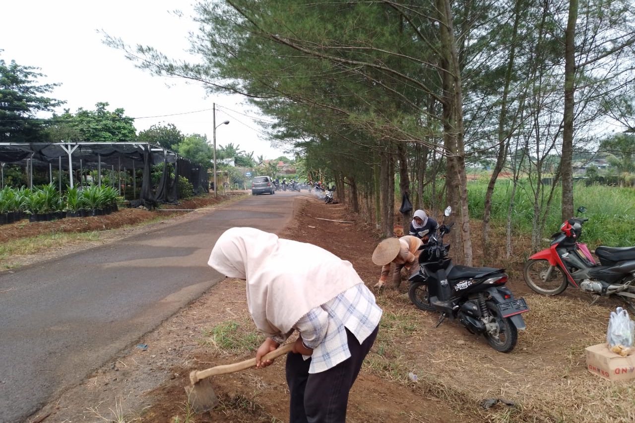 Gotong Royong Area Pembibitan Sawit